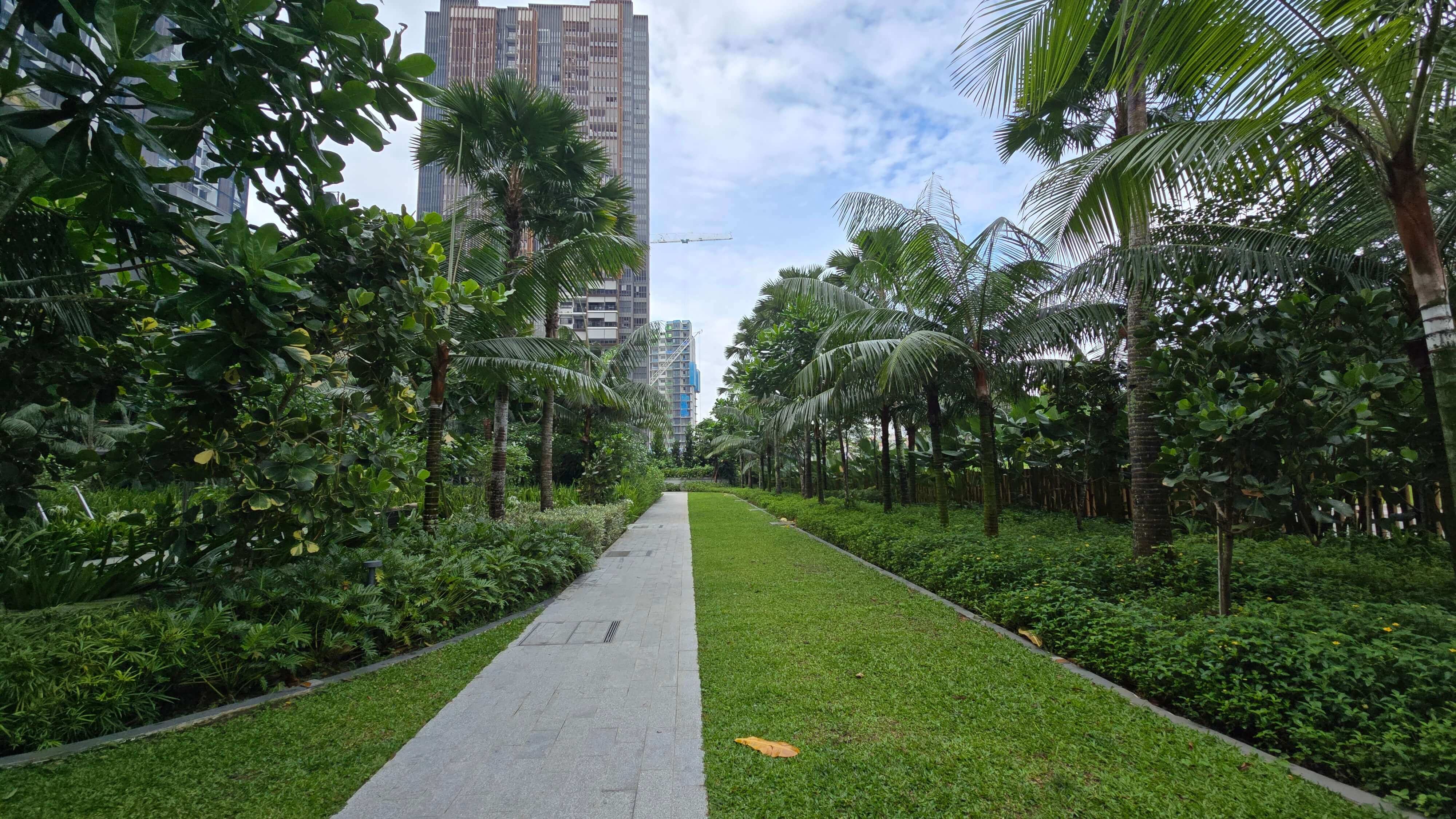 Landscape Maintenance thumbnail 2