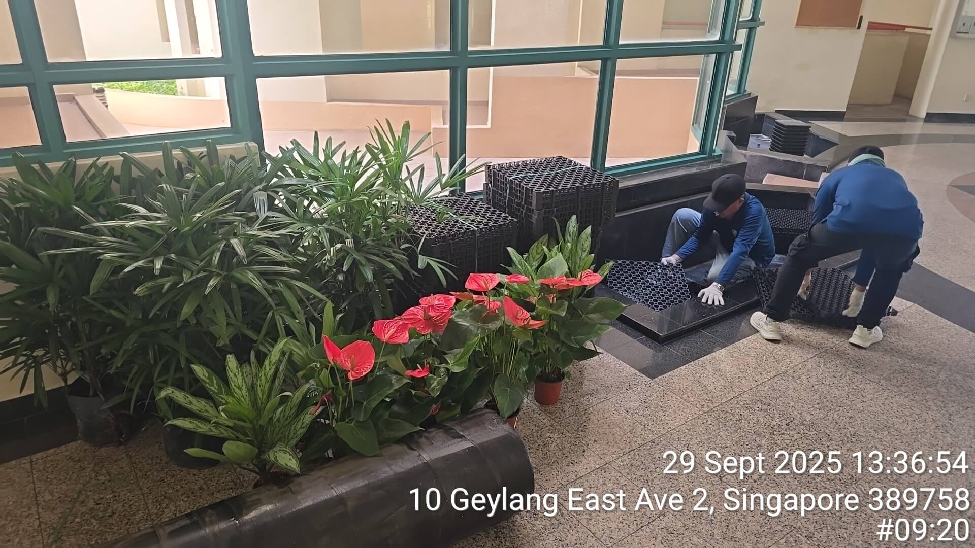 Plant Display Installation thumbnail 1